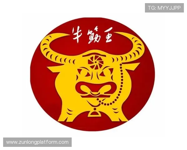 尊龙凯时旗舰厅登录线路常见登录问题及应对措施全方位指导